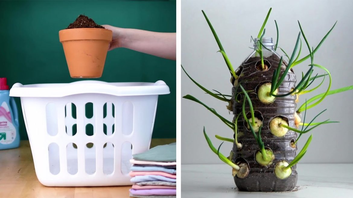 14 Clever Plant Hacks That Will Really Grow on You! Blossom 14 Clever Plant Hacks That Will Really Grow on You! Blossom