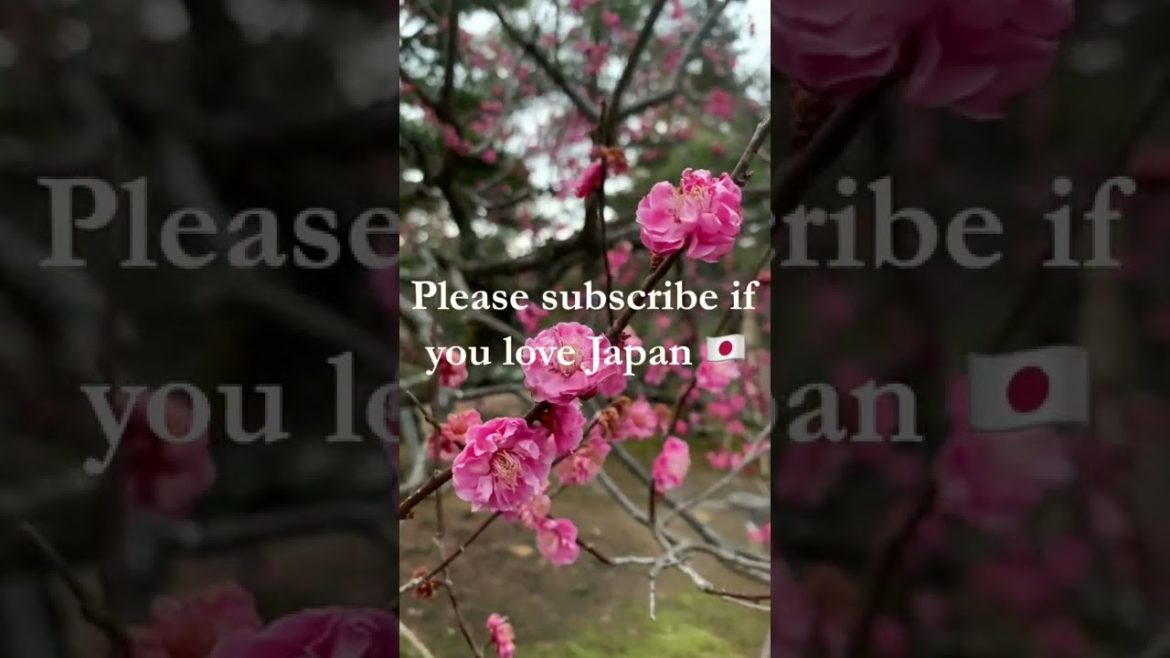 Calming Japanese Garden: Kenroku-en 兼六園 🍂 #shorts