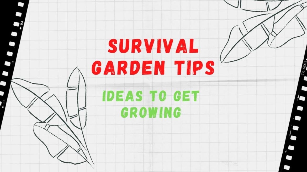 Survival Garden Tips Spring 2020. Ideas to get growing during the crisis. Survival Garden Tips Spring 2020. Ideas to get growing during the crisis.