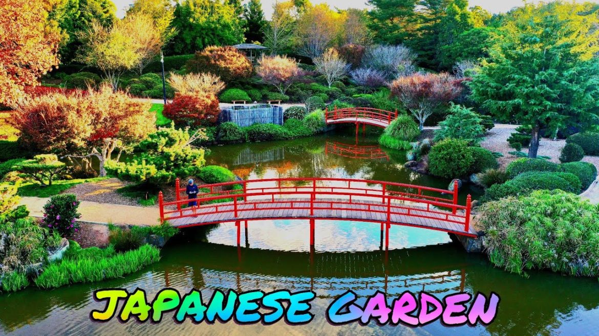 This Japanese Garden is SO Beautiful, and you're going to love it! This Japanese Garden is SO Beautiful, and you're going to love it!
