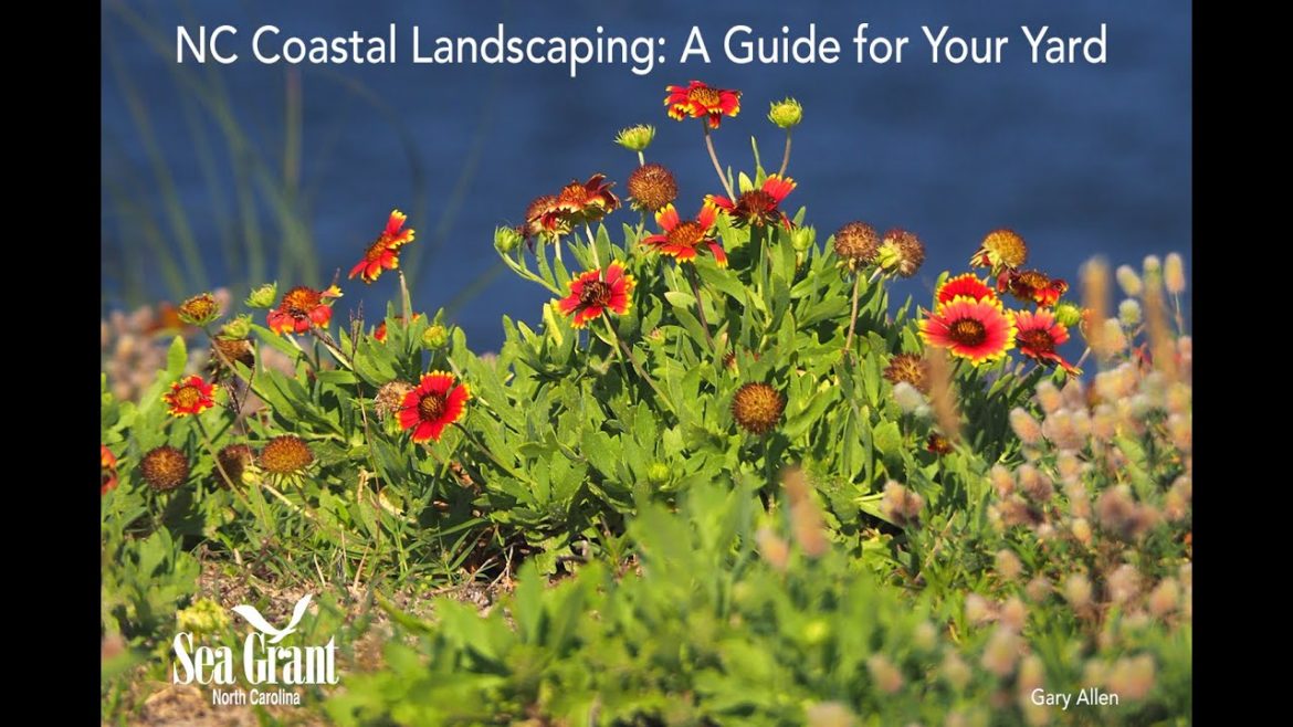 NC Coastal Landscaping: A Guide for Your Yard NC Coastal Landscaping: A Guide for Your Yard