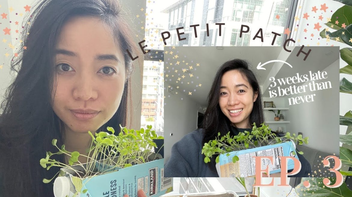 MINIMALIST GARDEN TIPS for SUCCESSFUL SEED STARTING | le petit patch ep. 3