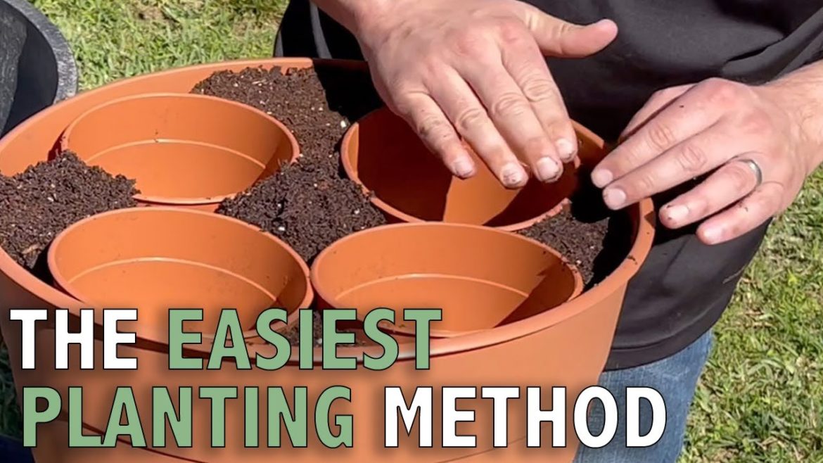 How to Plant a Container Garden | Easy Planting Method