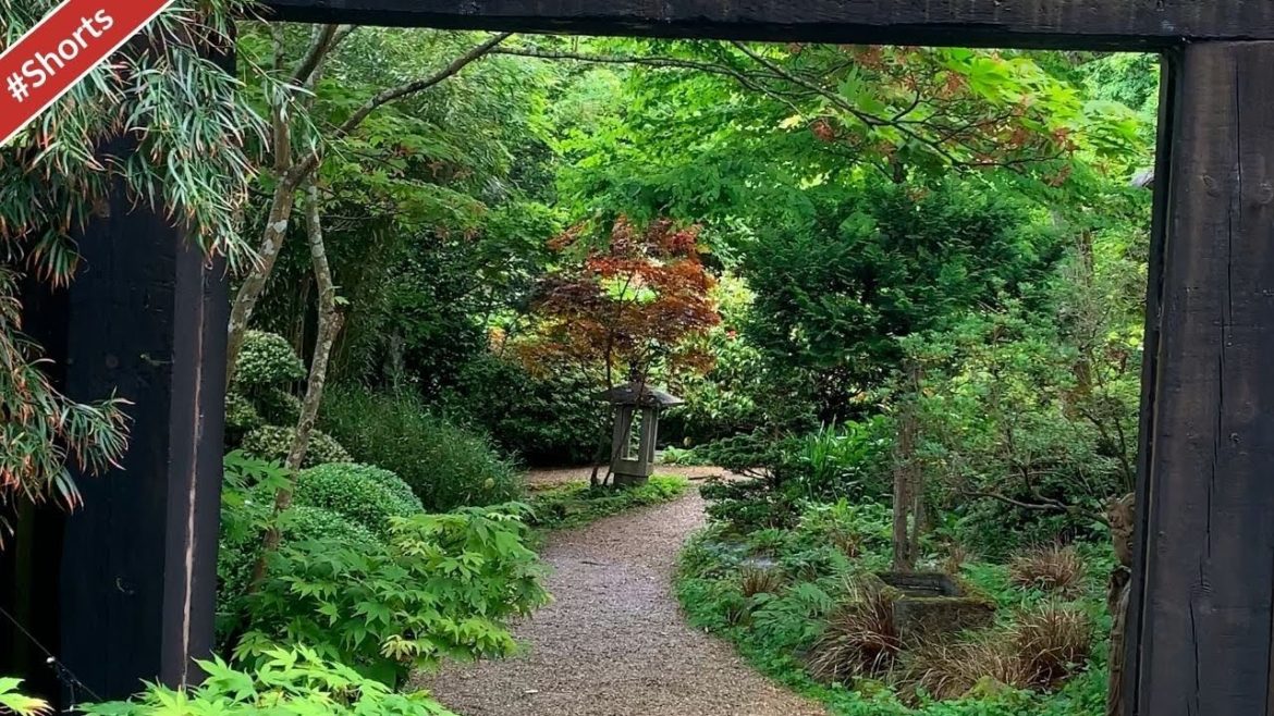 Japanese Garden, St Mawgan Nr Newquay, Cornwall, UK #shorts