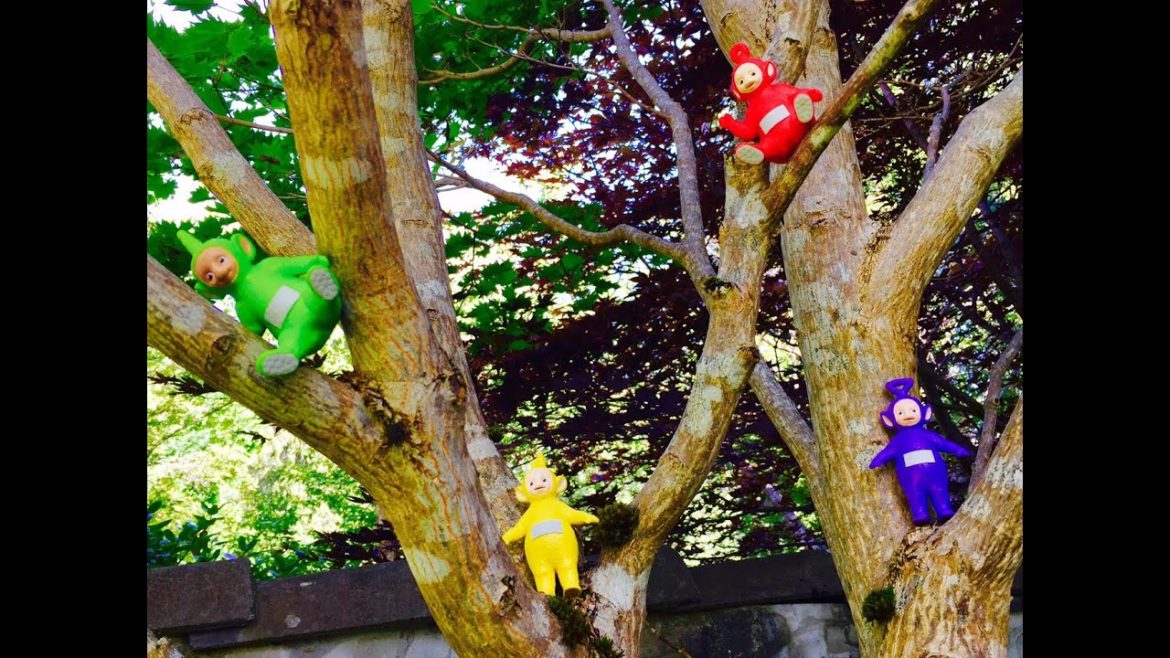 TELETUBBIES TOYS Visit A Japanese Garden!