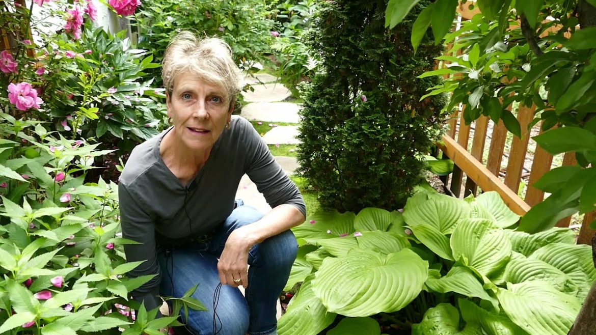 Design Ideas for Narrow Garden Spaces: Take a Tour of Rosanne's seven-foot-wide side garden. Design Ideas for Narrow Garden Spaces: Take a Tour of Rosanne's seven-foot-wide side garden.