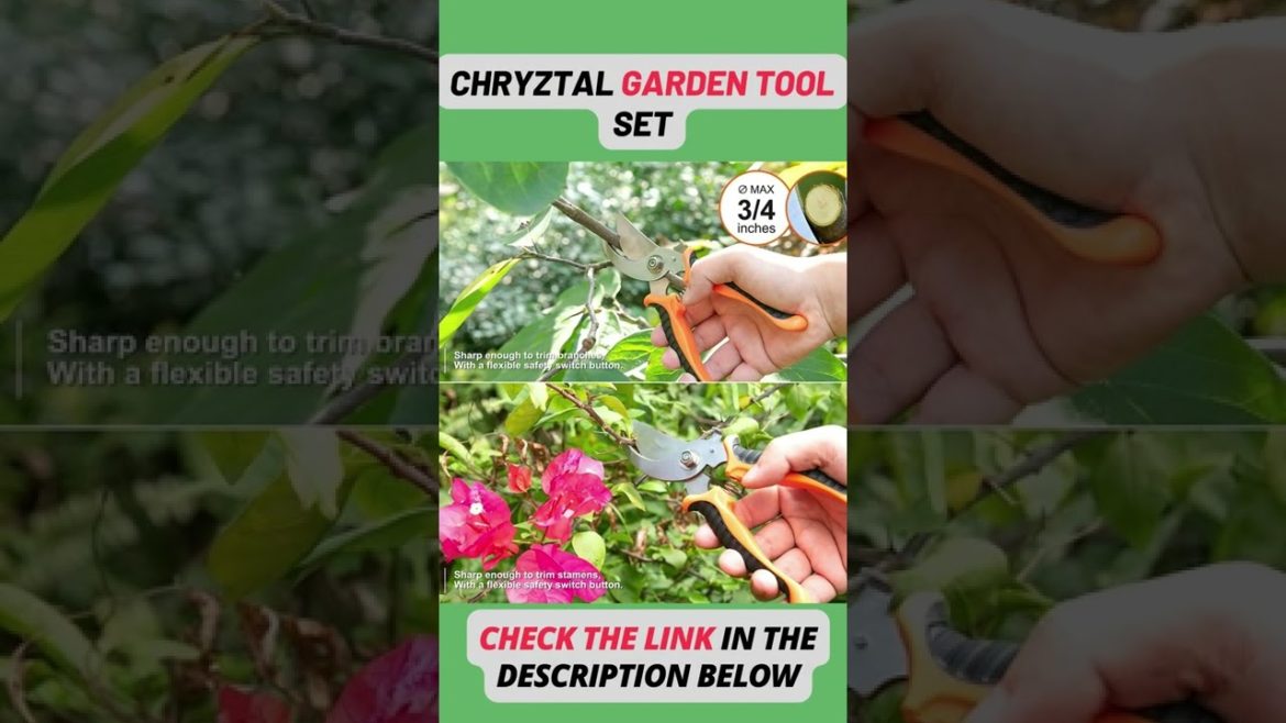 CHRYZTAL Garden Tool Set #shorts CHRYZTAL Garden Tool Set #shorts