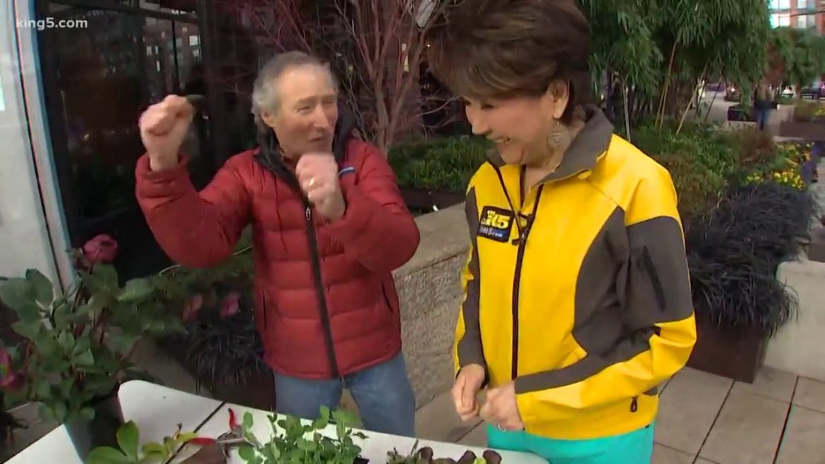 Spring gardening tips with Ciscoe Morris