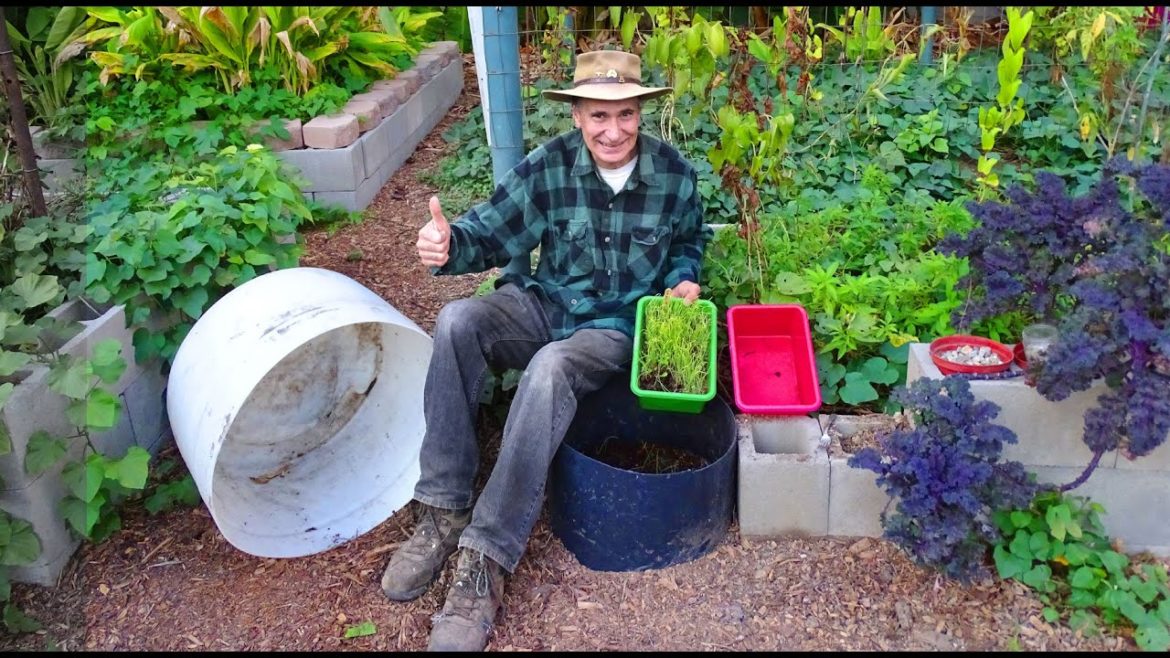 Easy 2 System Seed Starter-Outdoor Container Garden Tips Growing Leeks & Onions Woodchip Soil update