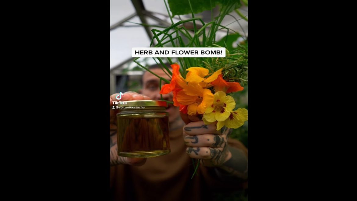 How to store herbs and edible flowers to enjoy them fresh all year round! #shorts #gardening #vegan How to store herbs and edible flowers to enjoy them fresh all year round! #shorts #gardening #vegan