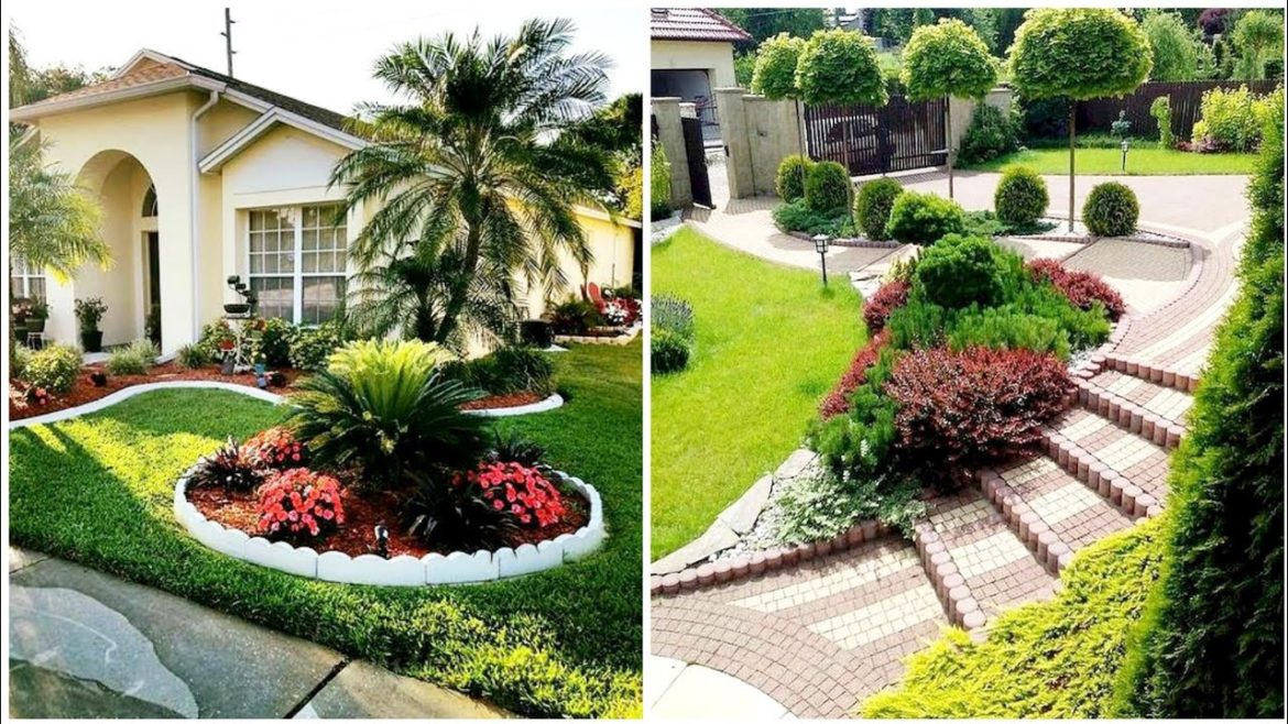 Modern garden Landscaping design | Front yard design |Back yard design | Interior designs Modern garden Landscaping design | Front yard design |Back yard design | Interior designs