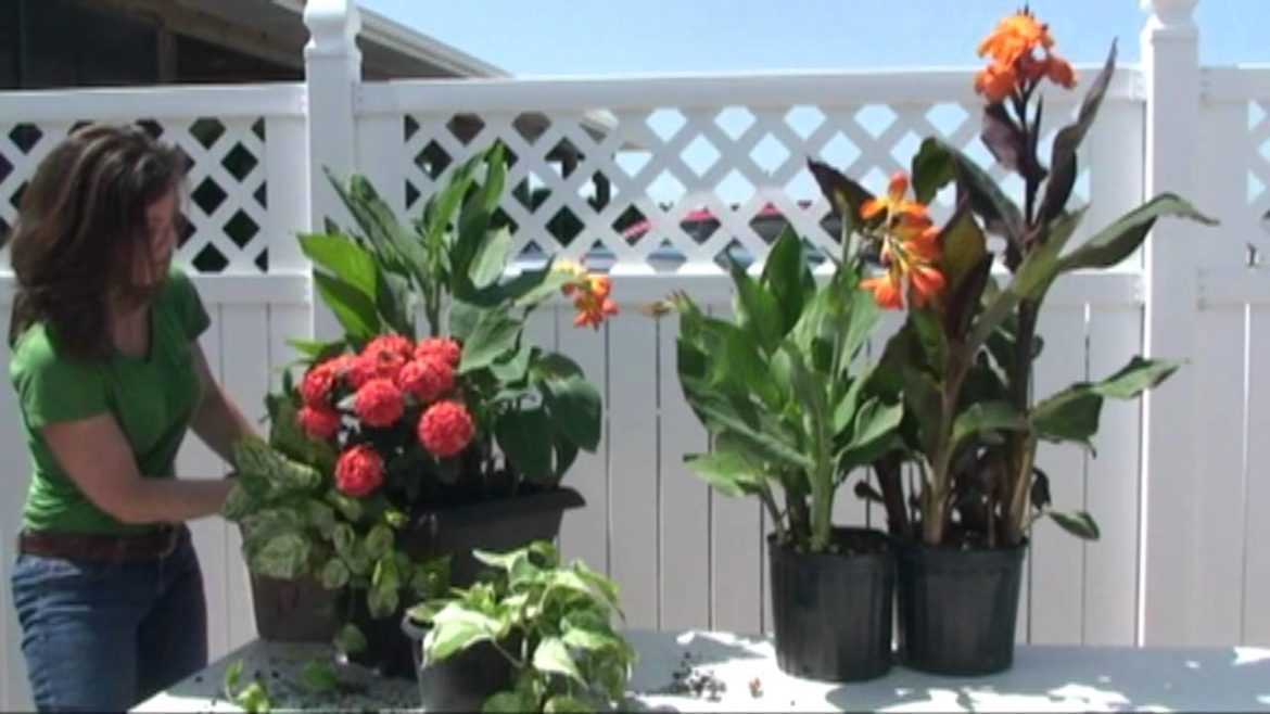 Contain Yourself-June Container Garden