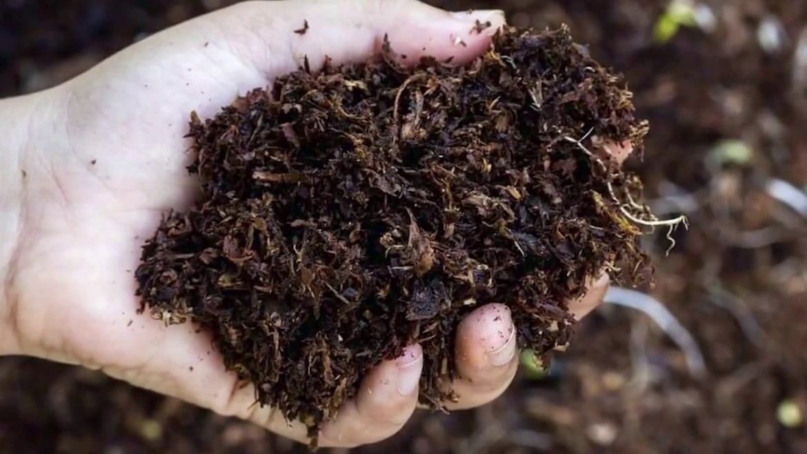 Simple Way To Make Your Own Compost At Home – Gardening Tips Simple Way To Make Your Own Compost At Home - Gardening Tips