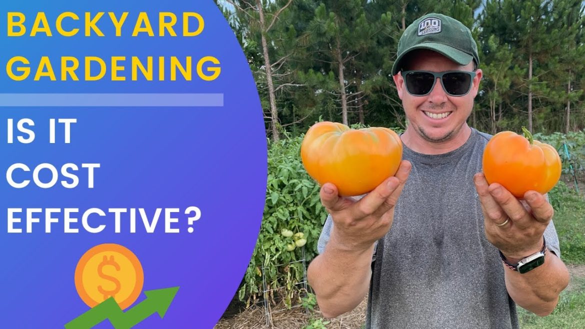 How Much Does it Cost to Grow a Backyard Garden? How Much Does it Cost to Grow a Backyard Garden?