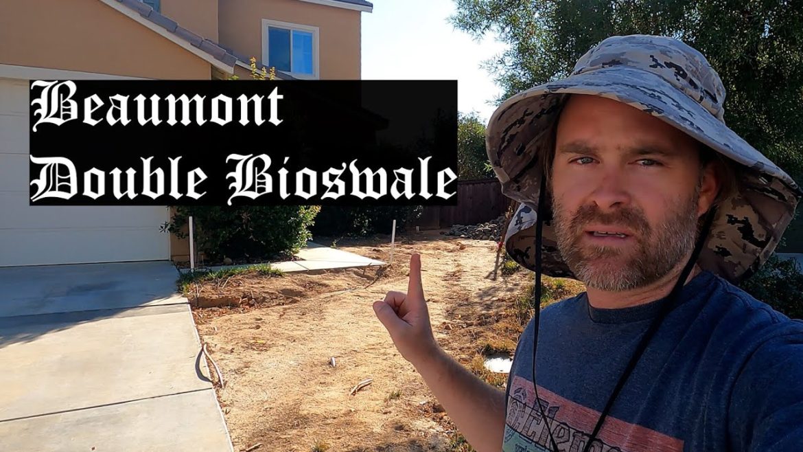 Beaumont Double Bioswale Front Yard Blank Canvas Landscape Creation