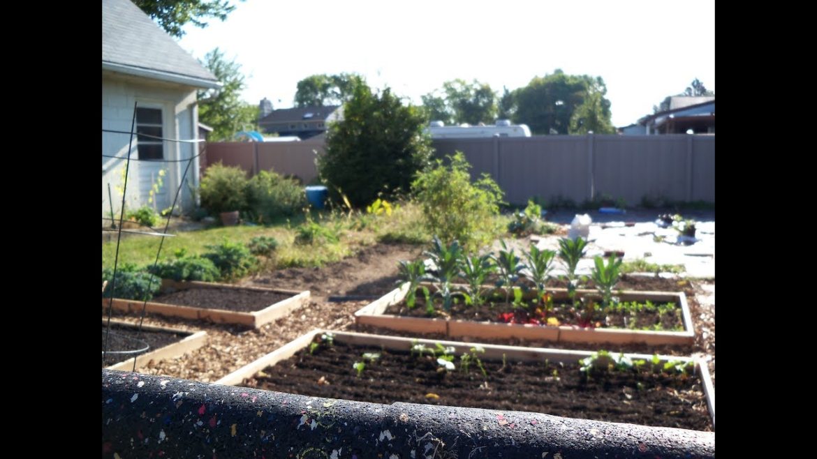 New Gardener Tip 2 – Know Your Zone New Gardener Tip 2 - Know Your Zone