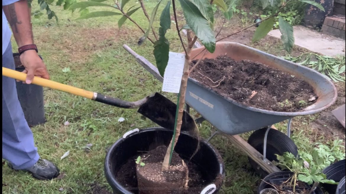 Patio container gardening done right! CHEAP!🤣