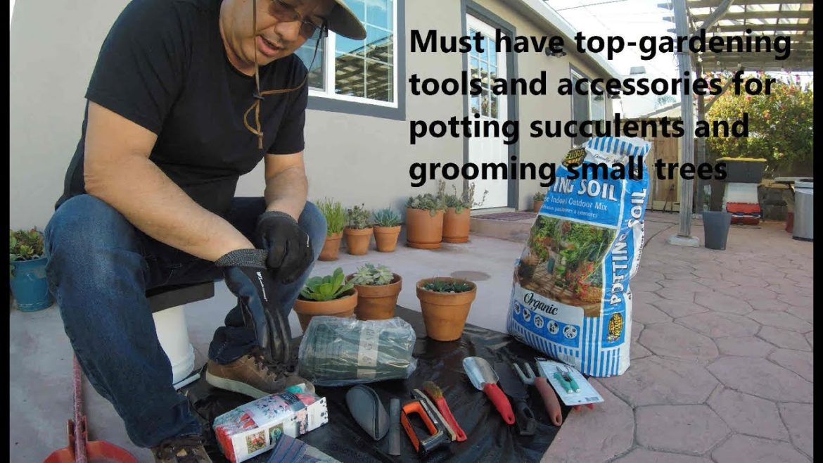 Top gardening tools for potting plants in the city