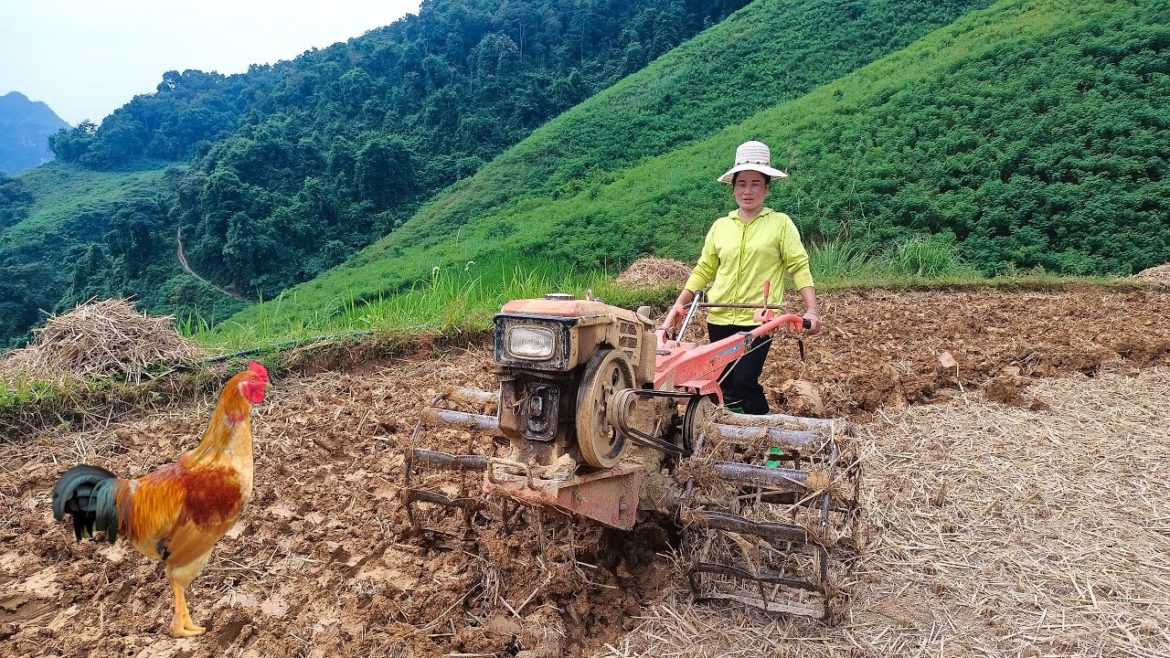 Building a life off the grid episode 21 gardening vegetables, growing onions, garlic