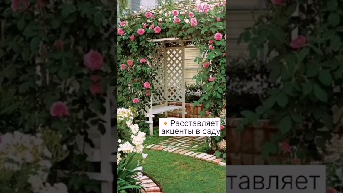 Пергола в ландшафтном дизайне 🌿