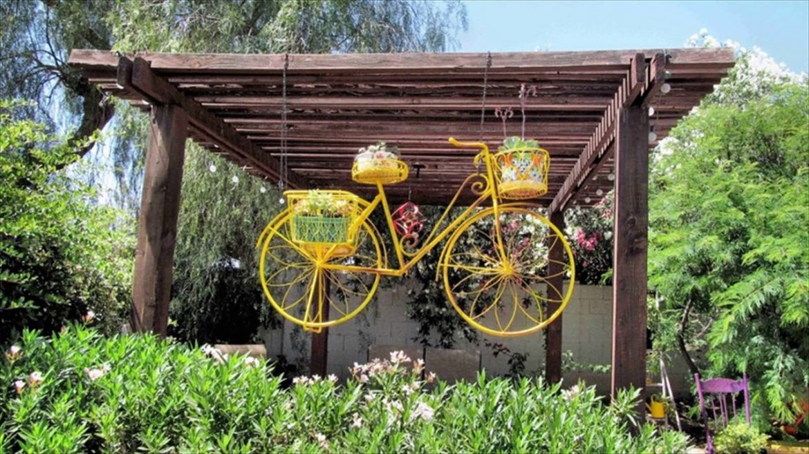 Do It Yourself Desert Landscaping