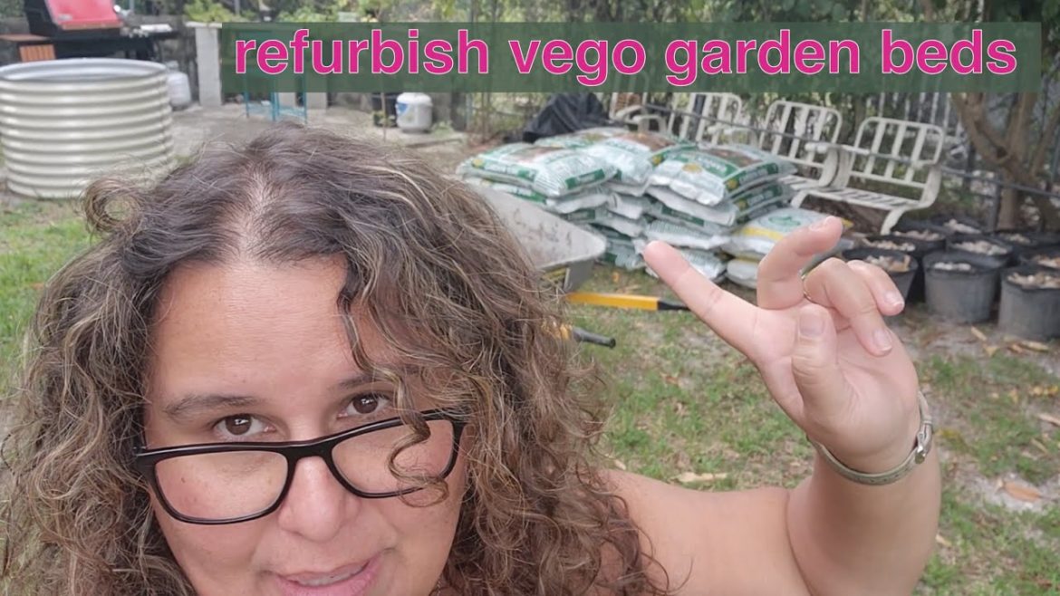 Vego Raised Garden Bed Refresh (Part 1) - South Florida Vegetable Gardening