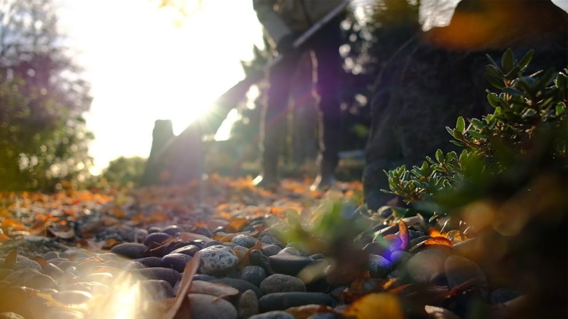 Autumn Landscapes and Soundscapes in the Japanese Garden