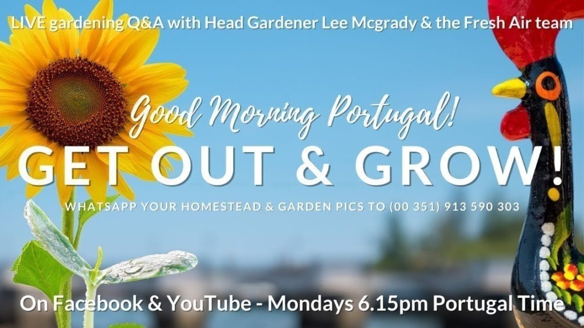 The Get Out & Grow! Show - LIVE Gardening Q&A - 17-10-22