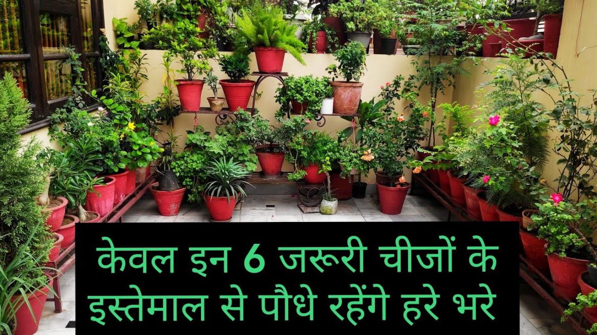 6 most important gardening products or items for beginners, gardening tips.......