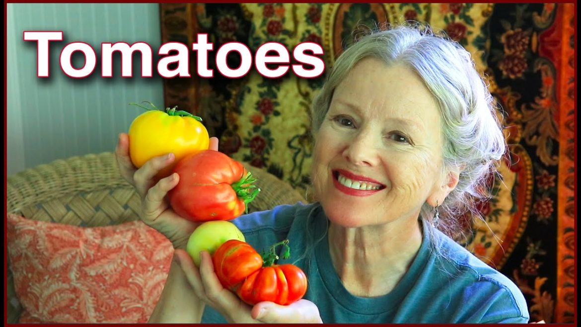 This is WHY you should GROW YOUR FOOD! Tomato Harvest!!