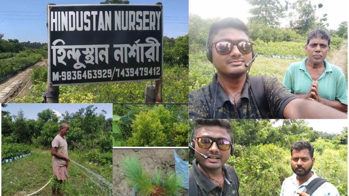 😲😲Indian Nursery🙏Hindustan Nursery🙏Amtala,South 24 Parganas,West Bengal #vlog #garden #nurserygarden