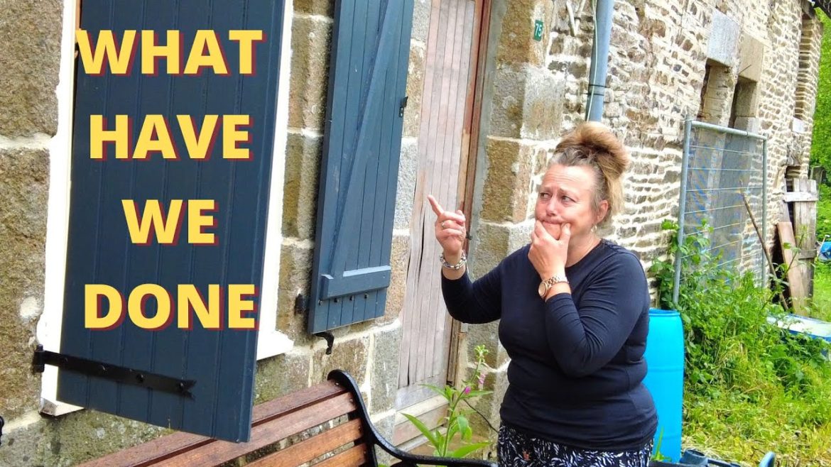 WHAT HAVE WE DONE #DIY, #GARDENING, #RENOVATION, #RESTORATION, #CARPENTER,