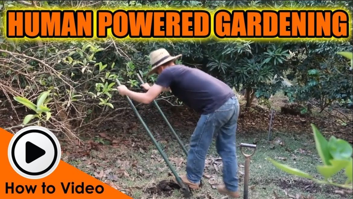 9 MUST-HAVE Gardening Tools For Off-The-Grid