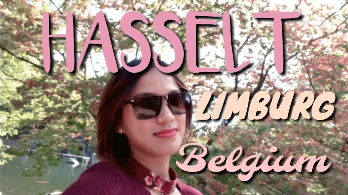 Japanese Garden in Hasselt || A Beautiful Place to Relax and Unwind Japanese Garden in Hasselt || A Beautiful Place to Relax and Unwind