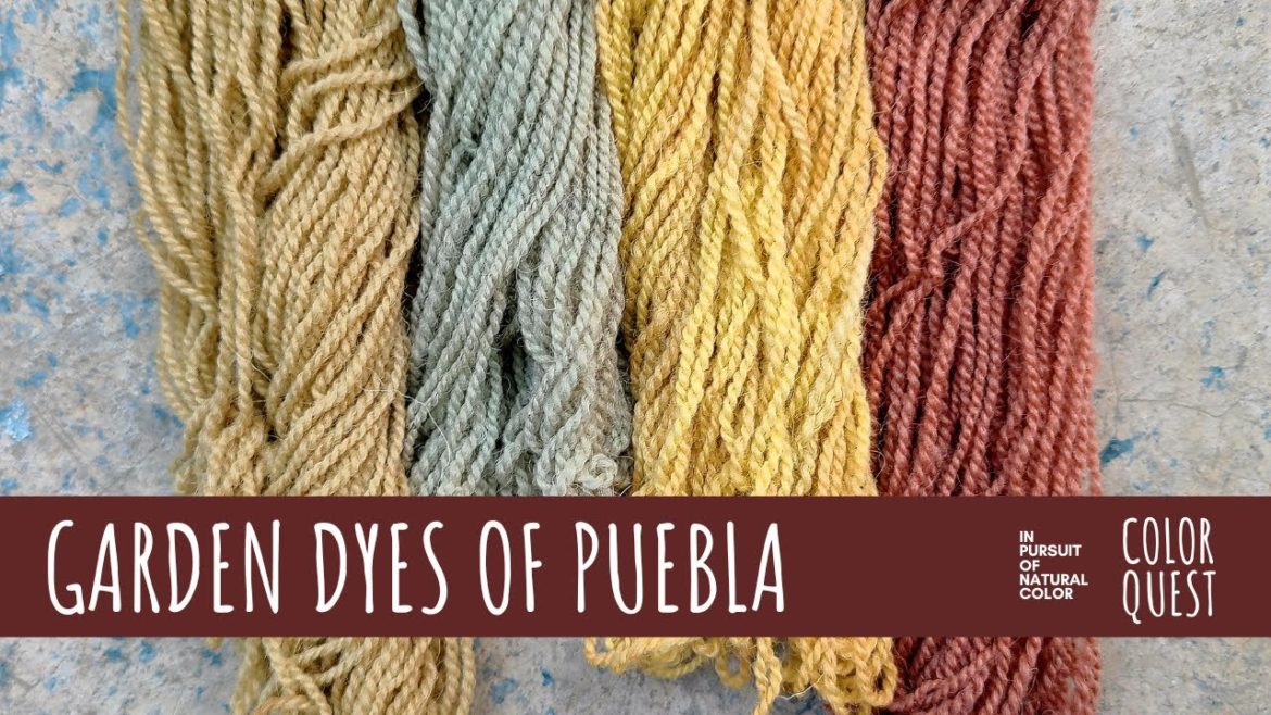 HOW TO MAKE NATURAL DYE FROM THE PUEBLA GARDEN | ORGANIC COLOR | HIBISCUS ALOE VERA BOUGAINVILLEA HOW TO MAKE NATURAL DYE FROM THE PUEBLA GARDEN | ORGANIC COLOR | HIBISCUS ALOE VERA BOUGAINVILLEA