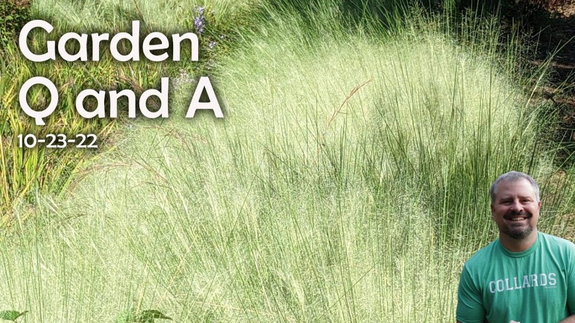 Great Garden and Landscape Questions - Fall Planting - Soil pH - When to Plant Alliums - Stake Trees