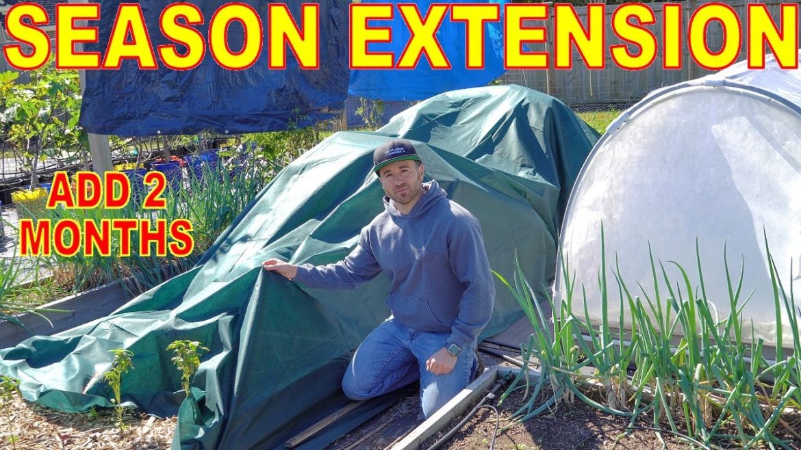 Do THIS To Extend Your Growing Season 2 Extra Months EVERY Year! Do THIS To Extend Your Growing Season 2 Extra Months EVERY Year!