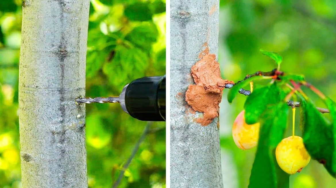 Brilliant Planting Hacks to Make Your Garden bloom 🍀 GARDENING SECRETS