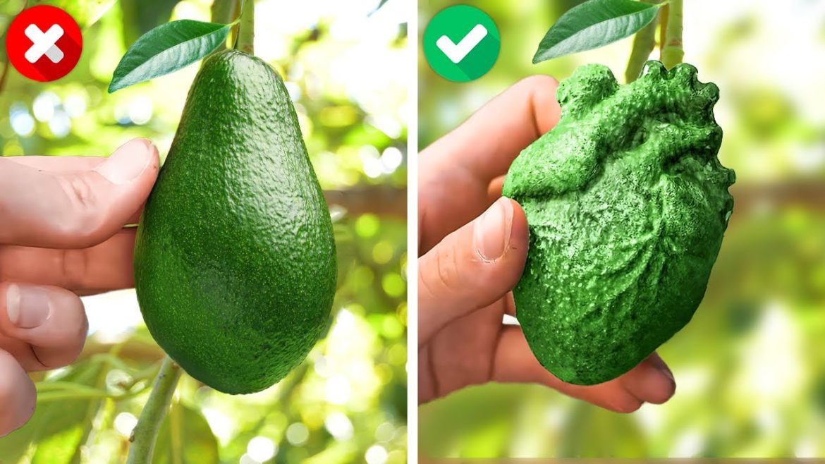 Unusual Ways Of Growing Your Own Garden | Useful Plant Hacks And Backyard Crafts Unusual Ways Of Growing Your Own Garden | Useful Plant Hacks And Backyard Crafts