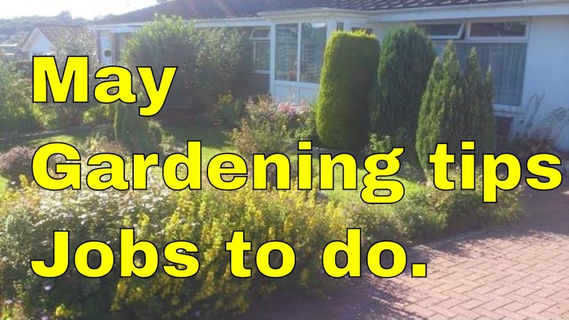 May Gardening Tips: trees shrubs roses & climbers. uk gardeners tips & jobs to do.