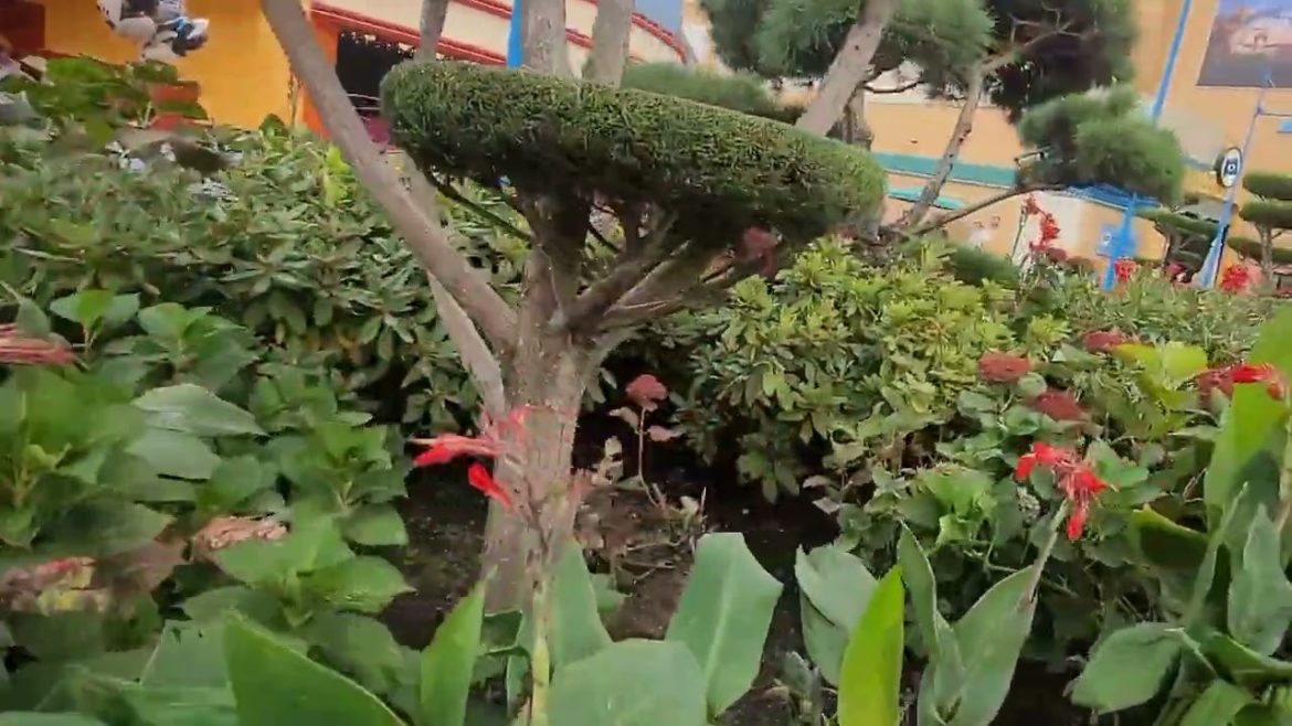 Садовий дизайн Діснейленду Париж. Garden design Disneyland Paris