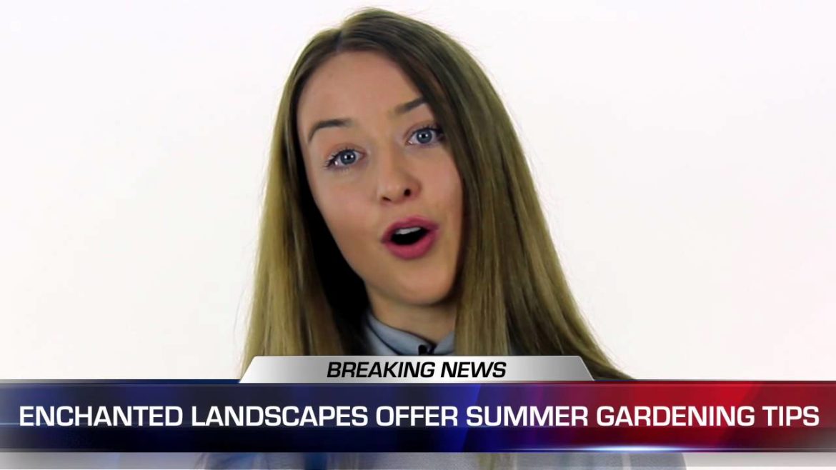 Summer Garden Tips Released by Enchanted Landscapes Summer Garden Tips Released by Enchanted Landscapes