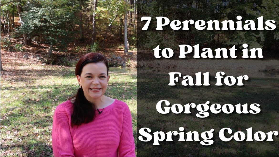 7 Perennials to Plant in Fall for Gorgeous Spring Color | Gardening with Creekside 7 Perennials to Plant in Fall for Gorgeous Spring Color | Gardening with Creekside