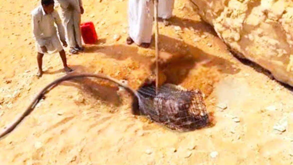 What they Captured in a Desert Shocked the Whole World What they Captured in a Desert Shocked the Whole World