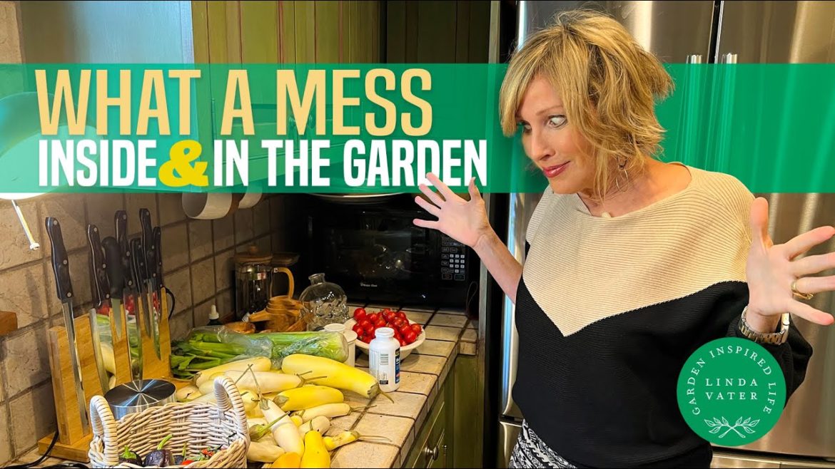 What a Mess: Inside and In the Garden