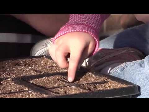 Gardening videos for children | gardening by the foot plans Gardening videos for children | gardening by the foot plans