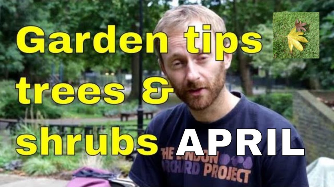 April gardening tips trees hedges shrubs uk