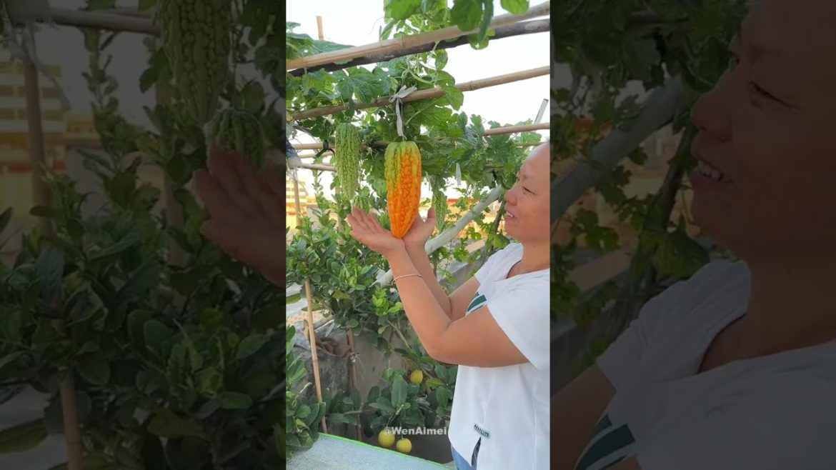 Beautiful Nature with Rural Life #shorts #naturalife #rurallife