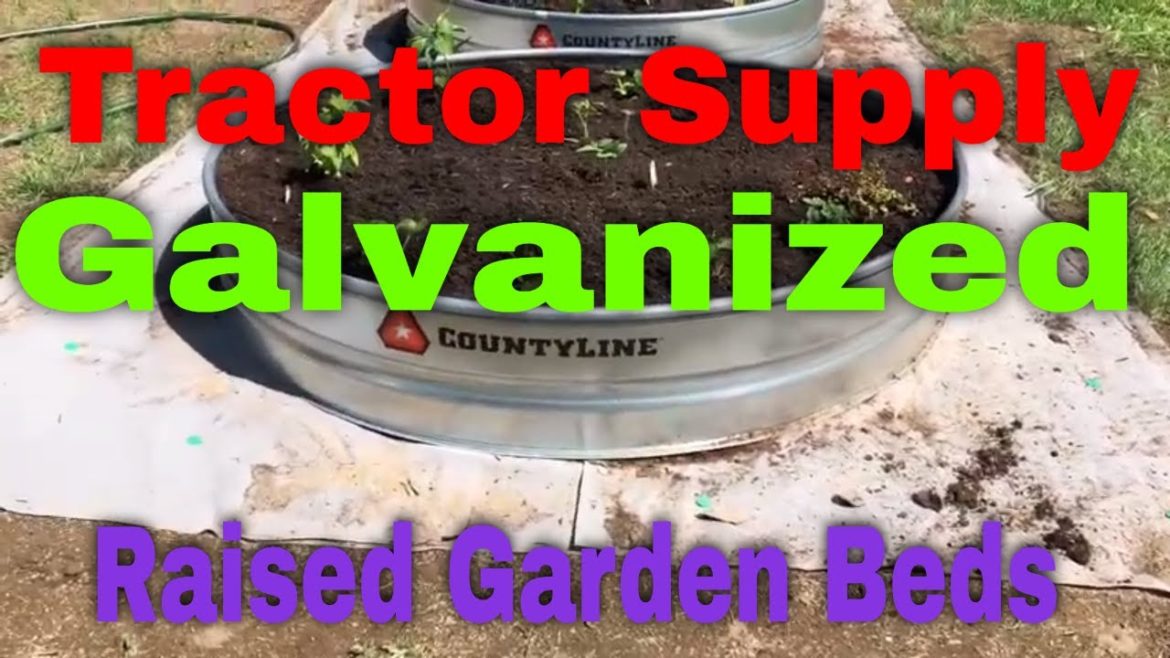 Tractor Supply Galvanized Raised Garden Beds Tractor Supply Galvanized Raised Garden Beds