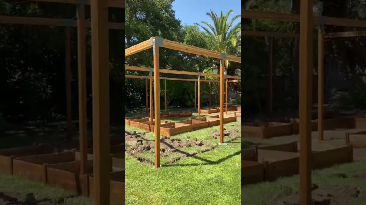 Garden House Before After tiktok cheriebolz